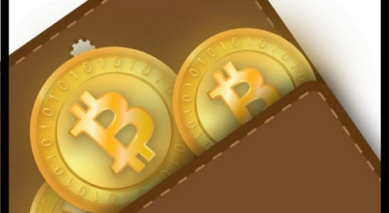 bitcoin-fiyatlari